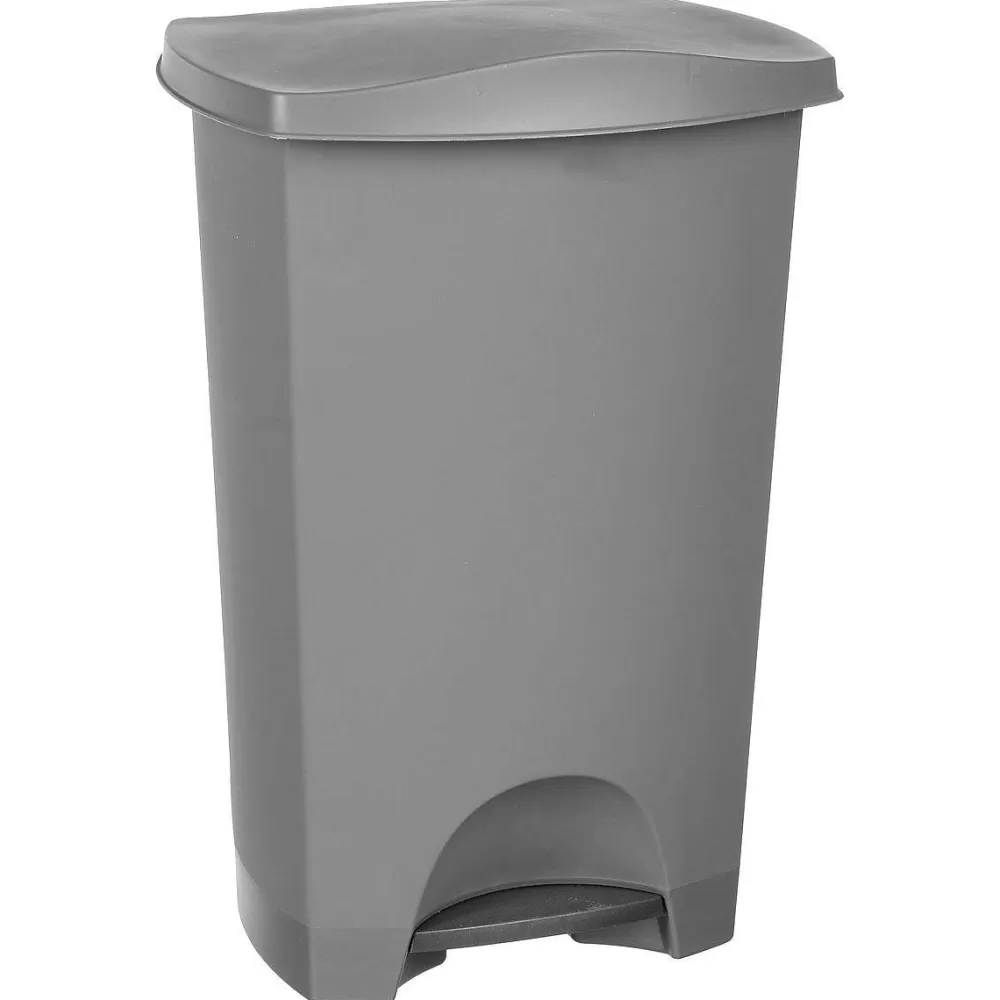 Poubelles | * Poubelle A Pedale Grise 42L